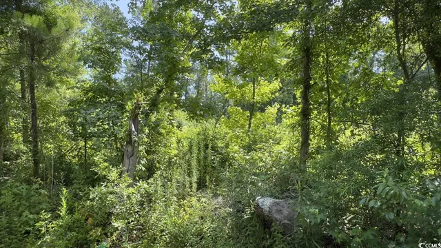 $10,500 | Undisclosed Address, Kingstree, SC 29556