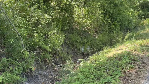 $10,500 | Undisclosed Address, Kingstree, SC 29556