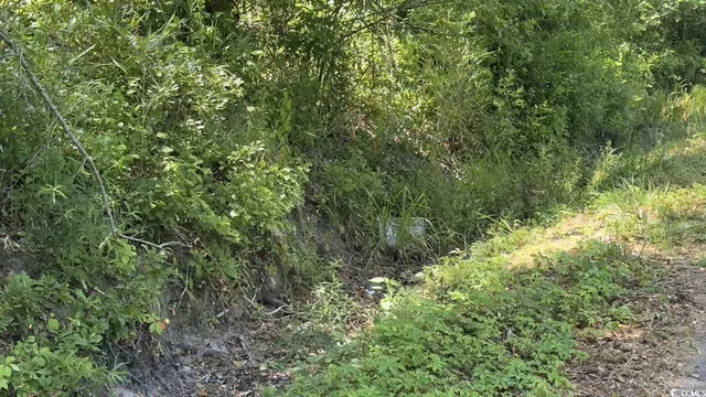 $10,500 | Undisclosed Address, Kingstree, SC 29556