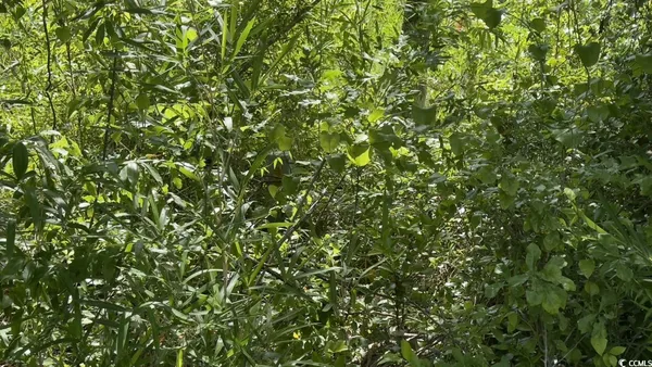 $10,500 | Undisclosed Address, Kingstree, SC 29556