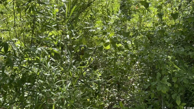 $10,500 | Undisclosed Address, Kingstree, SC 29556