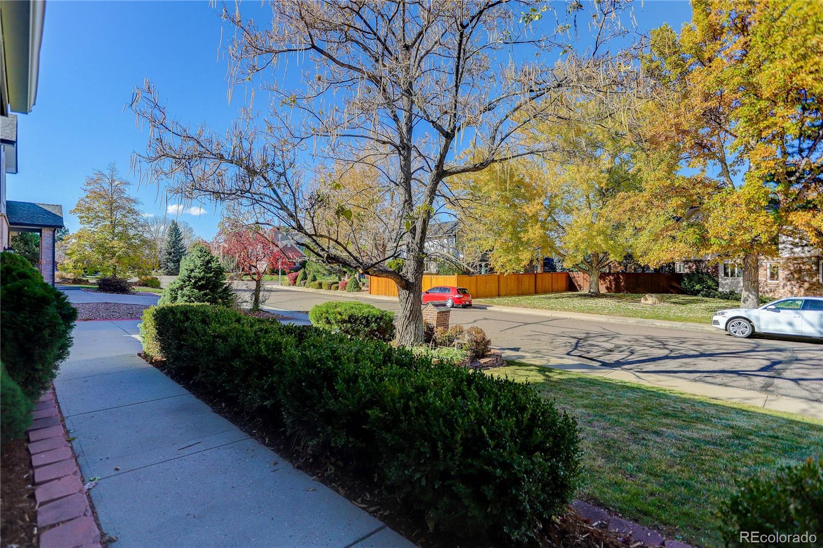 3804 Simms Street Wheat Ridge, CO 80033 - Photo 4 of 40 a view of a park with large trees