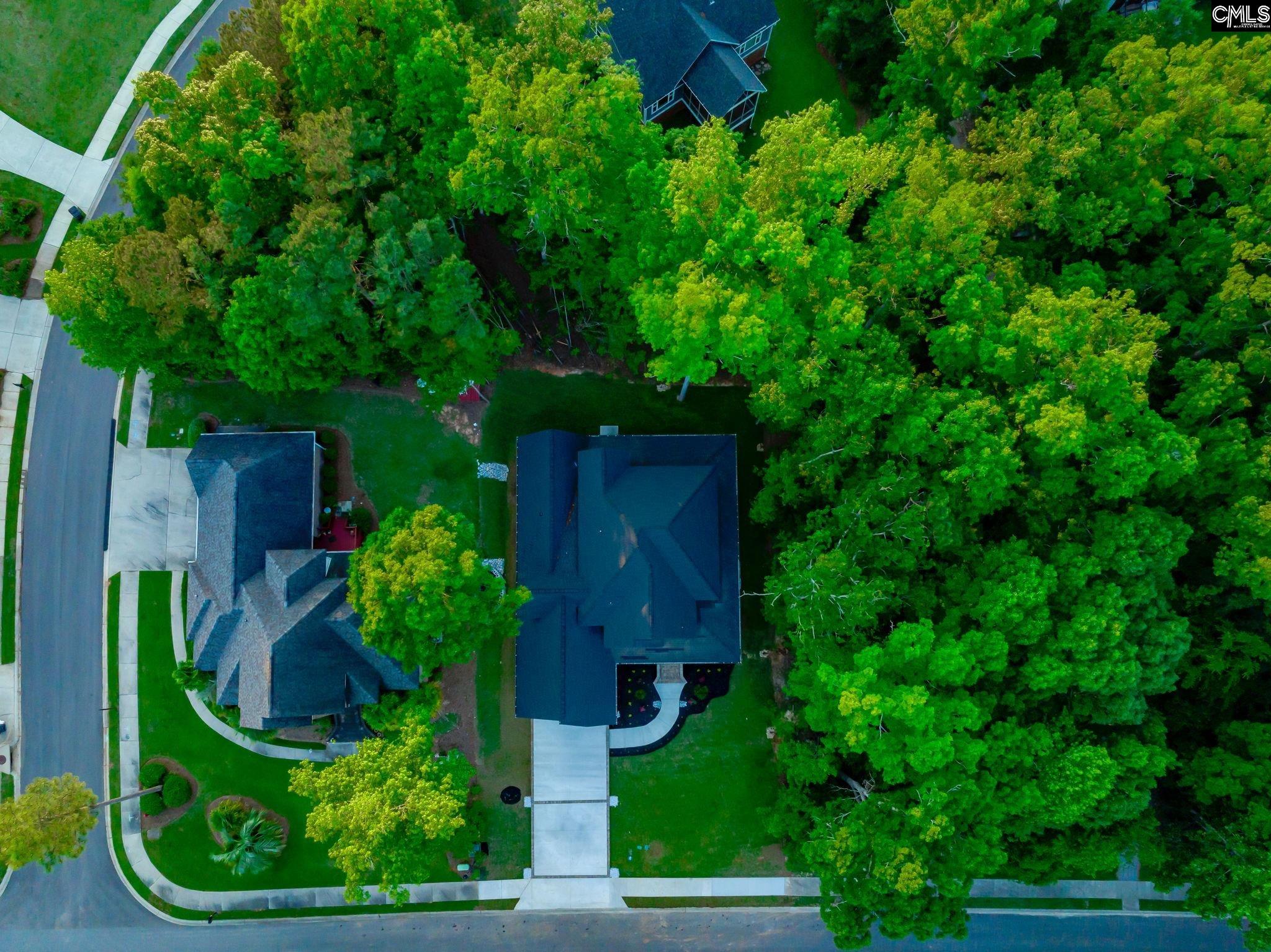 274 Pintail Lake Drive Gilbert, SC 29054 - Photo 59 of 64