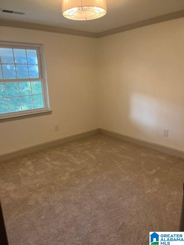 1663 County Road 2 Montevallo, AL 35115 - Photo 25 of 46