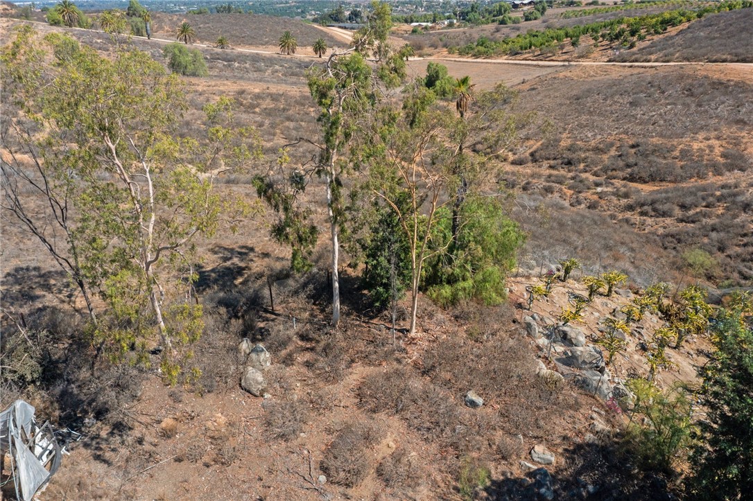 14350 Blackburn Road Riverside, CA 92503 - Photo 23 of 36 a view of a yard with trees