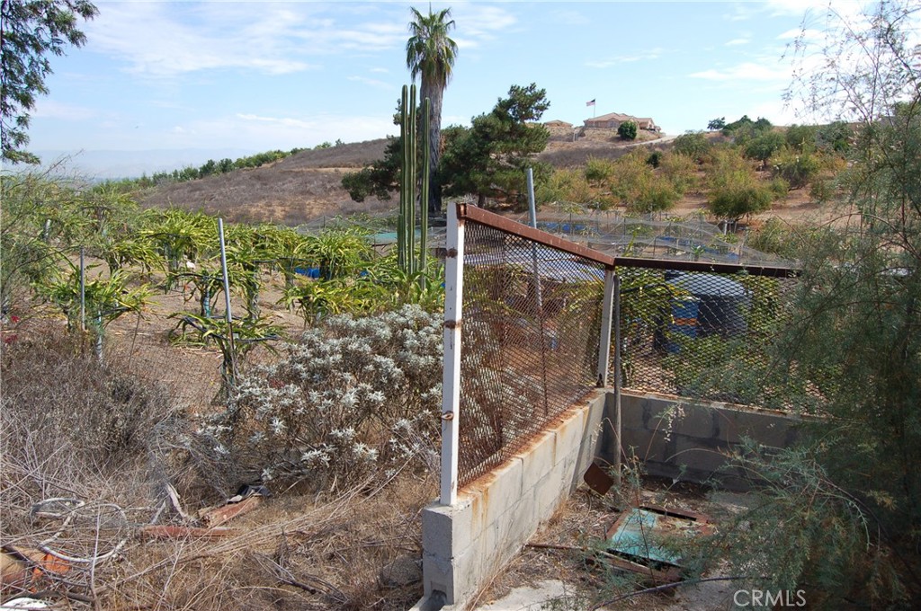 14350 Blackburn Road Riverside, CA 92503 - Photo 31 of 36 a view of a forest