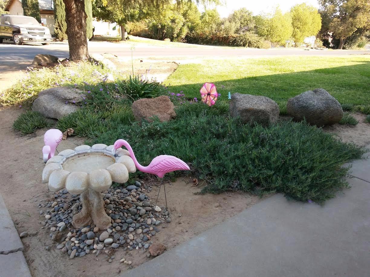 17442 Rodeo Drive Madera, CA 93638 - Photo 2 of 11 Gallery Image 2