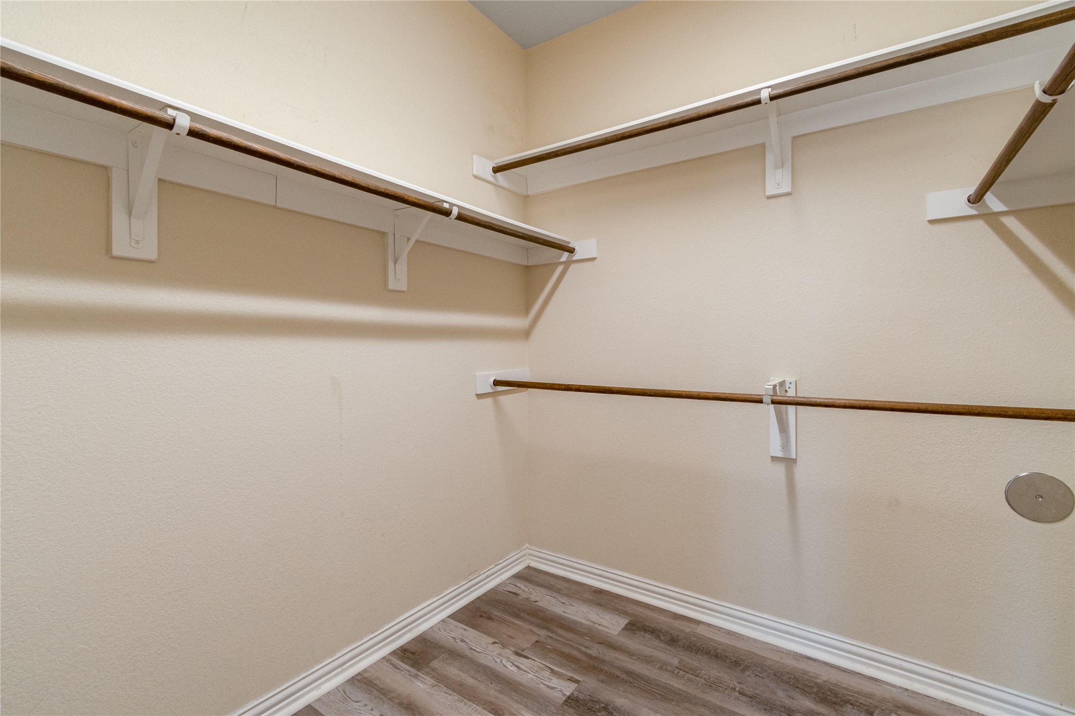 3413 Grail Hollows Road Pflugerville, TX 78660 - Photo 19 of 36 Primary Walk in closet with light wood finished floors