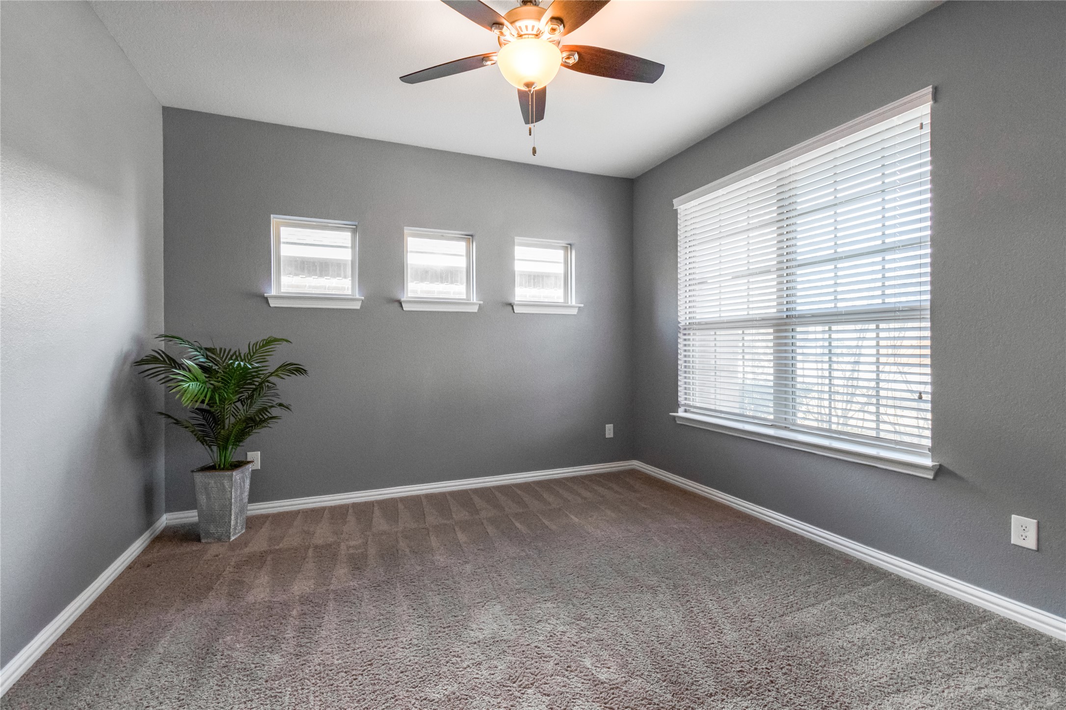 3413 Grail Hollows Road Pflugerville, TX 78660 - Photo 4 of 36 Carpeted spare room with ceiling fan and baseboards