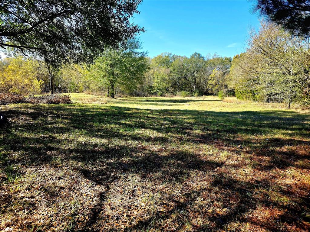 a view of a yard with a large trees