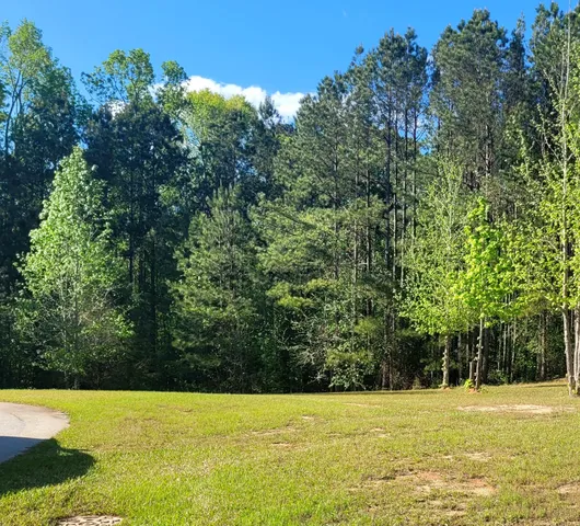 $9,995 | 1210 Edge Lane, Tignall, GA 30668