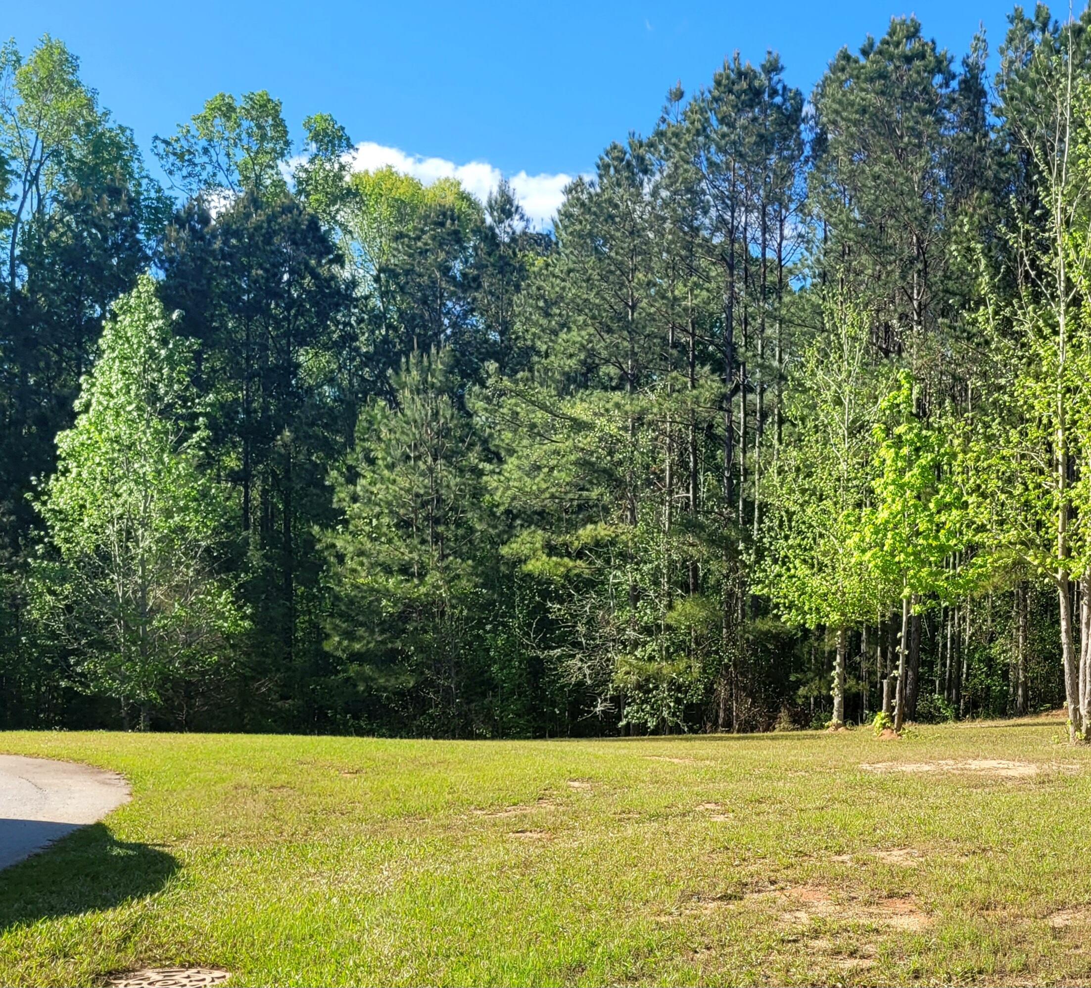 1210 Edge Lane Tignall, GA 30668 - Photo 11 of 15 20250412_173442