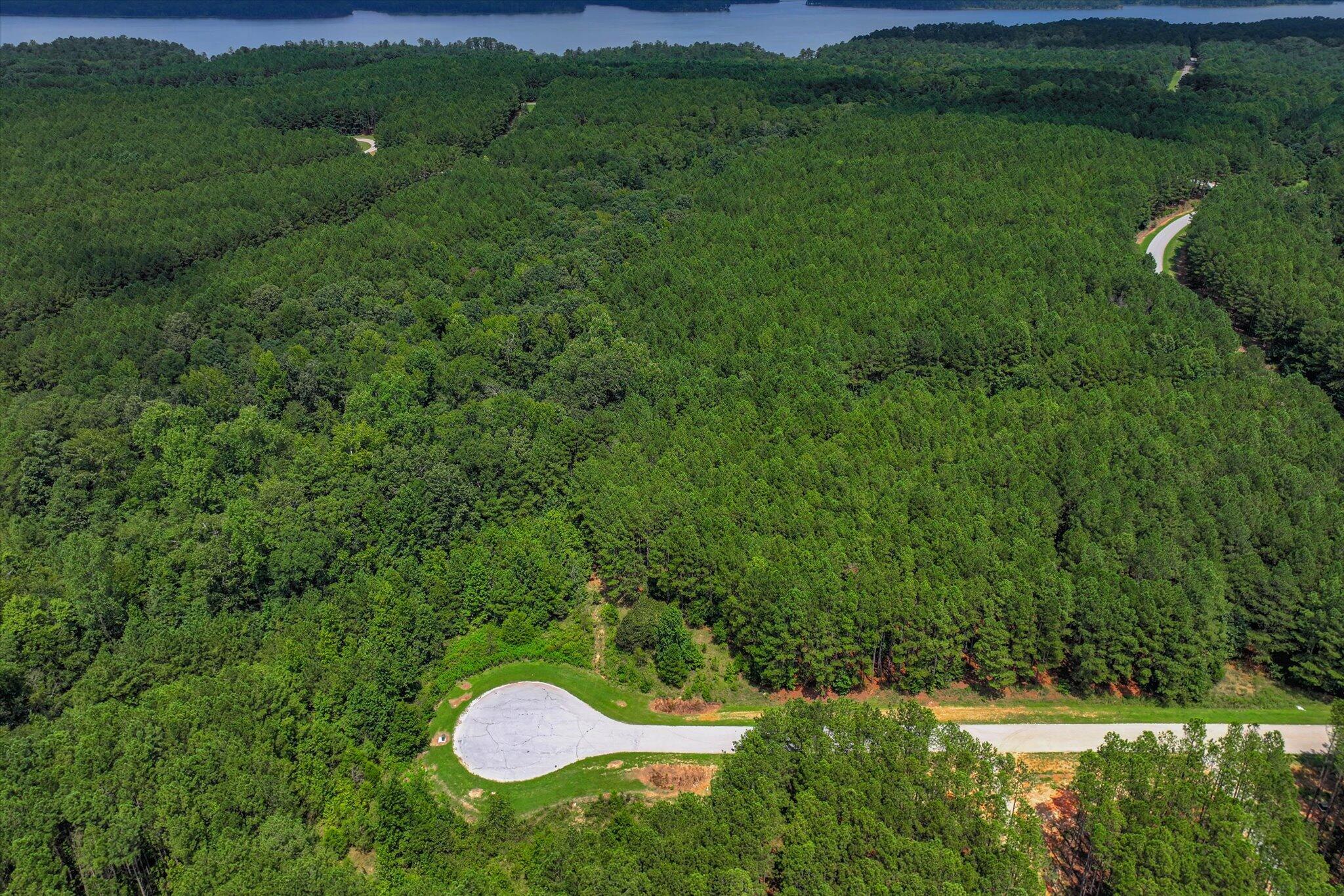 1210 Edge Lane Tignall, GA 30668 - Photo 3 of 15 03-103