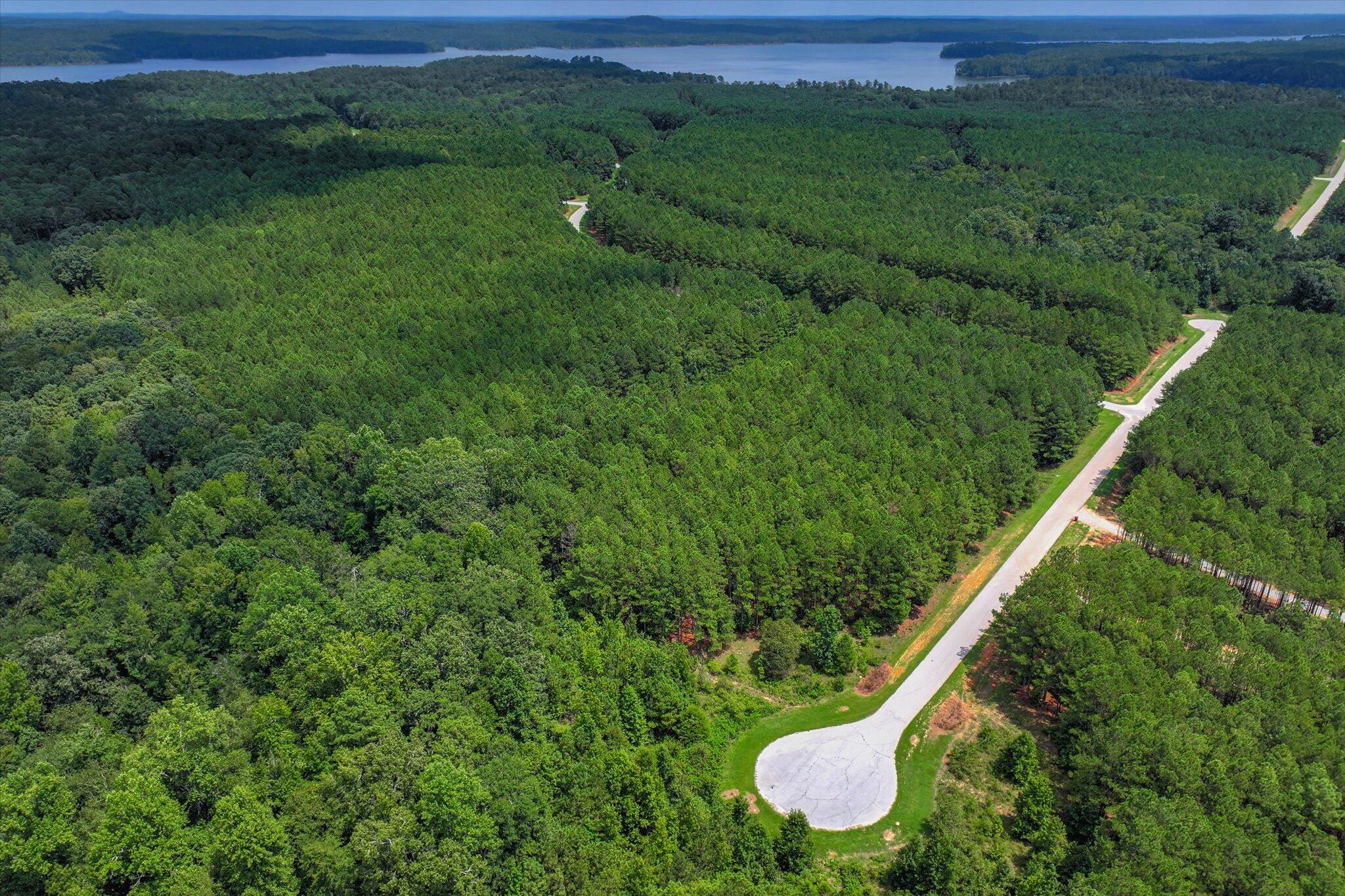 1210 Edge Lane Tignall, GA 30668 - Photo 9 of 15 09-109