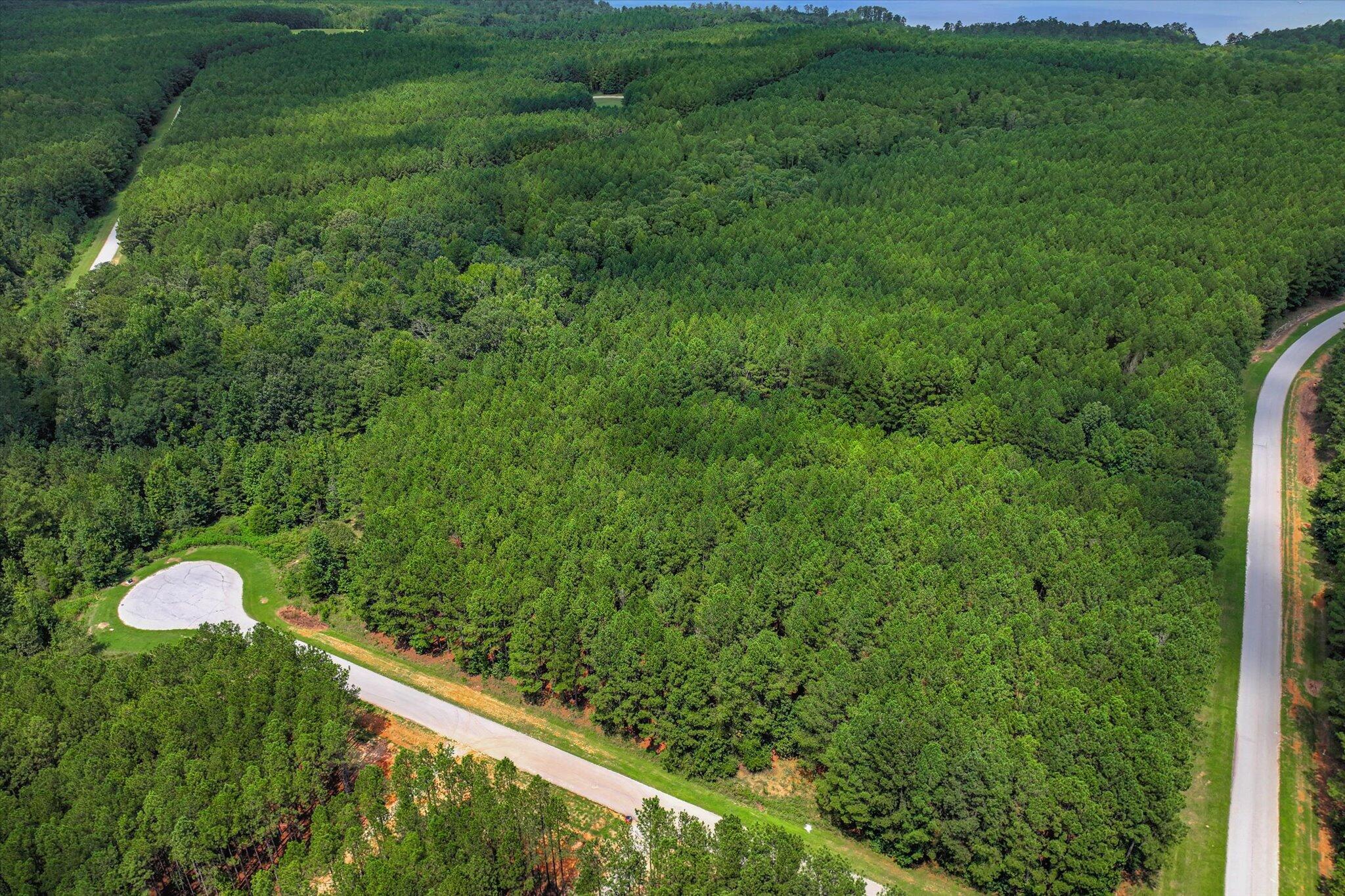 1210 Edge Lane Tignall, GA 30668 - Photo 10 of 15 10-110