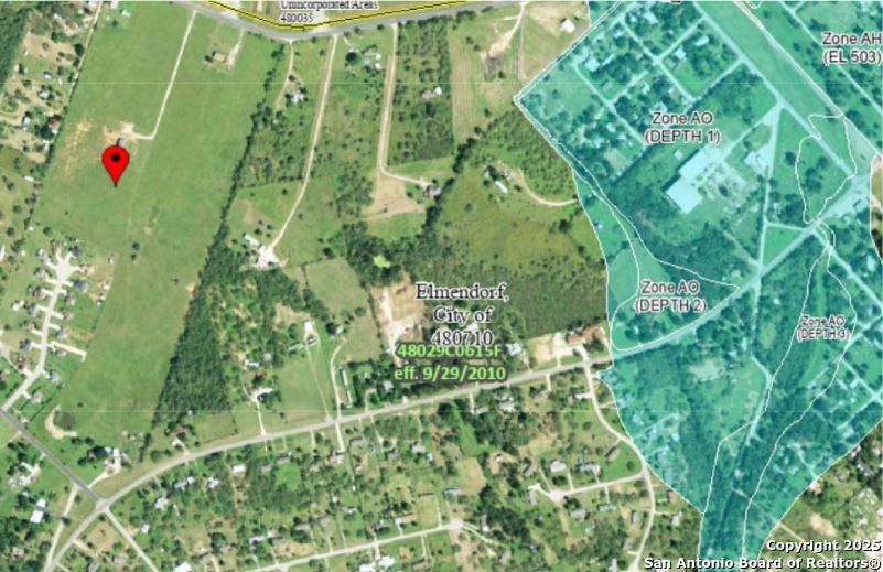 0 Borregas Road Elmendorf, TX 78112 - Photo 7 of 12 a close up of a green plant in a garden