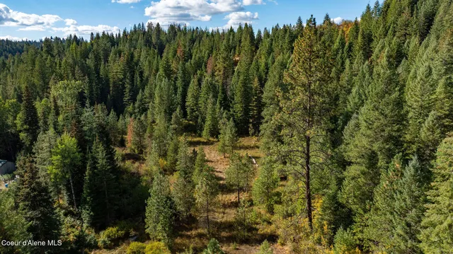 $119,999 | Grassy Mountain Vista Street, St. Maries, ID 83861