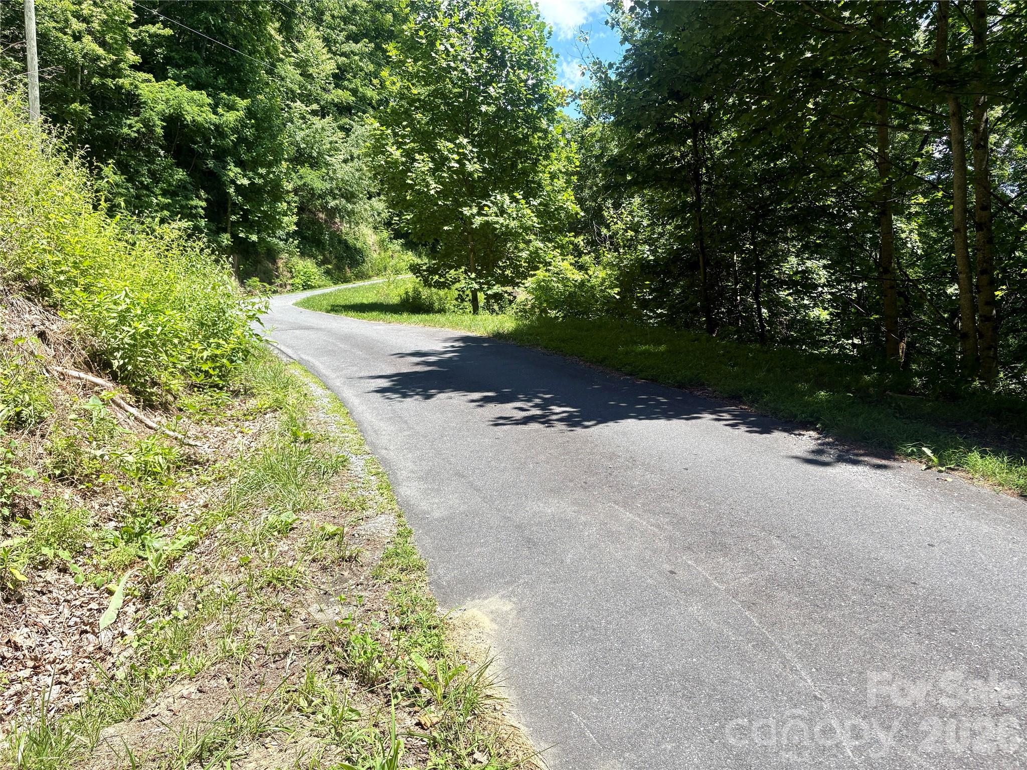 0 Eagles Roost Road, Unit 70 Bryson City, NC 28713 - Photo 4 of 13