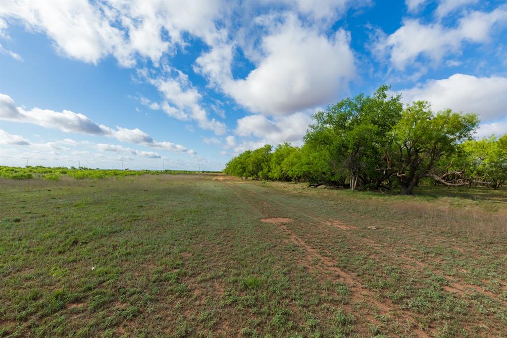 600 Fm 600 Haskell, TX 79521 - Photo 24 of 34 a view of a field with an trees