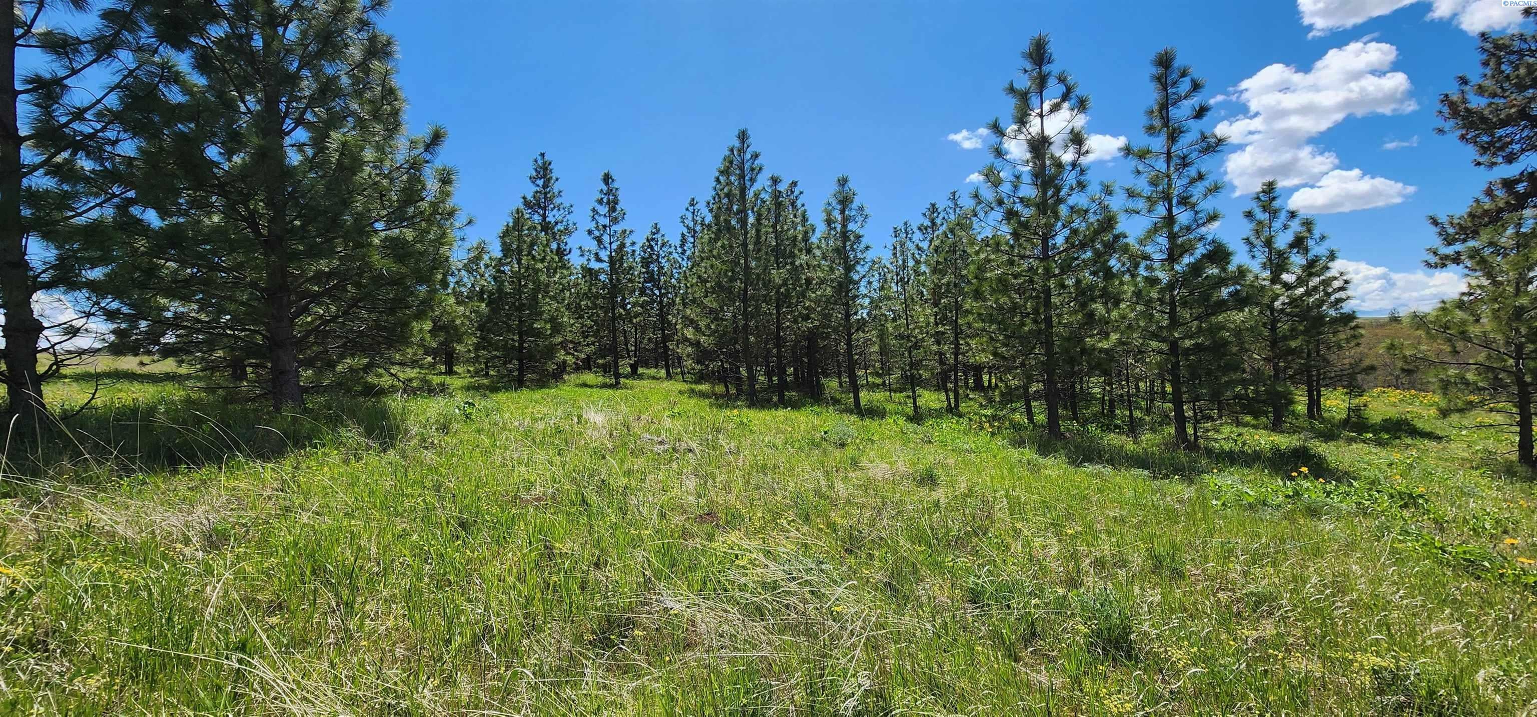 Lot 18 Schilling Road Lyle, WA 98635 - Photo 33 of 39 Gallery Image 33