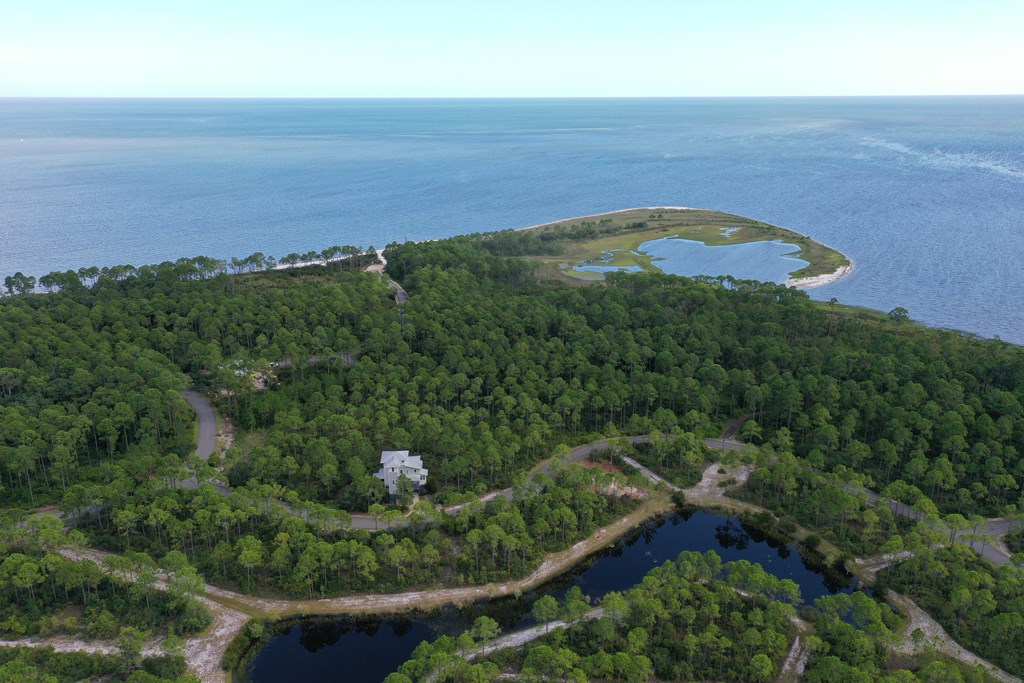 126 Turkey Point Road Sopchoppy, FL 32358 - Photo 11 of 35