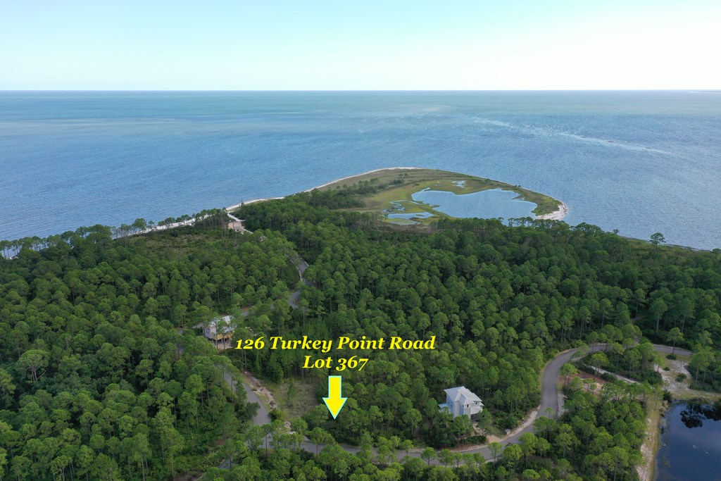 126 Turkey Point Road Sopchoppy, FL 32358 - Photo 13 of 35