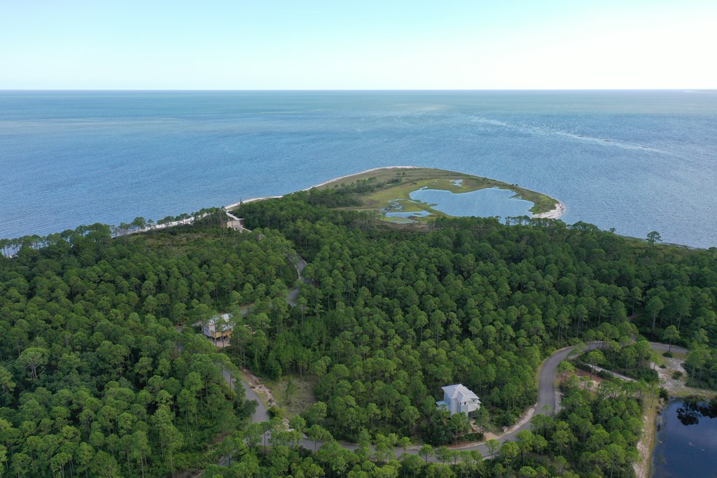 126 Turkey Point Road Sopchoppy, FL 32358 - Photo 14 of 35