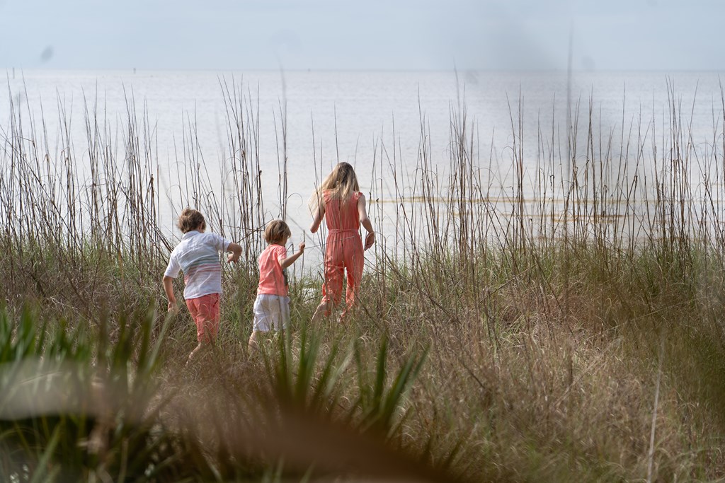 126 Turkey Point Road Sopchoppy, FL 32358 - Photo 15 of 35
