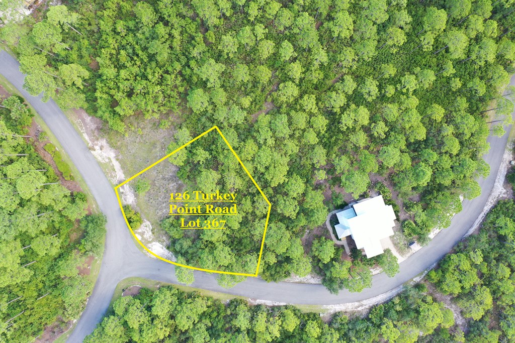 126 Turkey Point Road Sopchoppy, FL 32358 - Photo 16 of 35