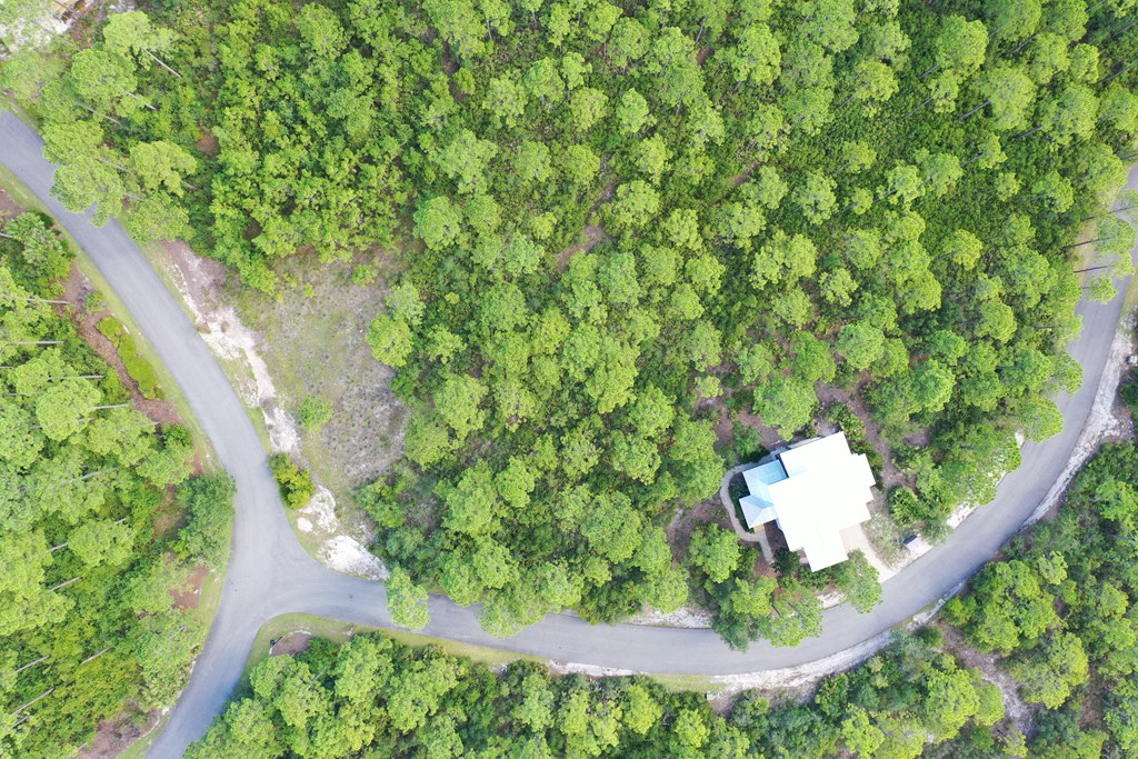 126 Turkey Point Road Sopchoppy, FL 32358 - Photo 17 of 35