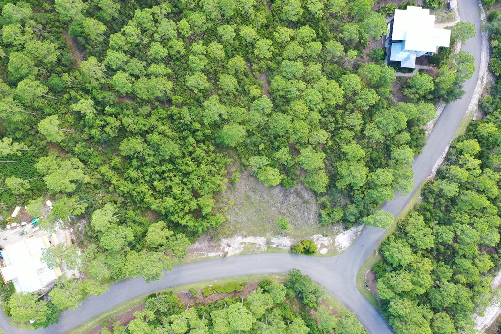 126 Turkey Point Road Sopchoppy, FL 32358 - Photo 20 of 35