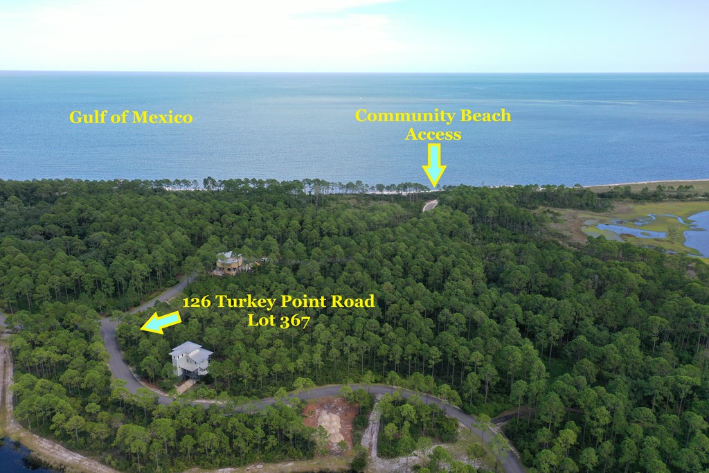 126 Turkey Point Road Sopchoppy, FL 32358 - Photo 2 of 35
