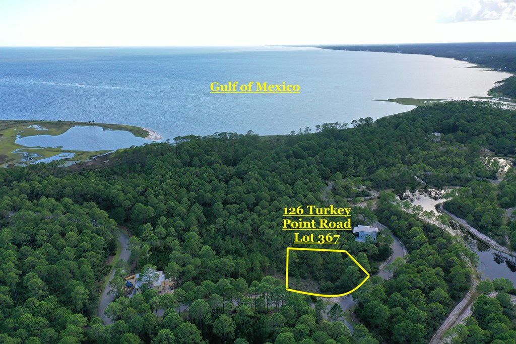 126 Turkey Point Road Sopchoppy, FL 32358 - Photo 22 of 35