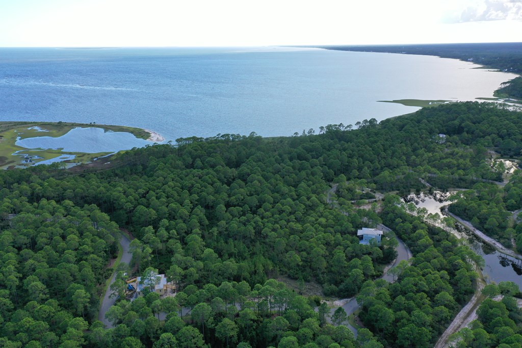 126 Turkey Point Road Sopchoppy, FL 32358 - Photo 23 of 35