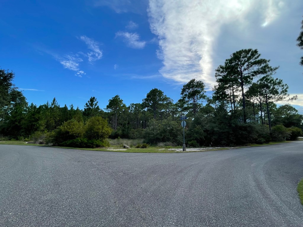126 Turkey Point Road Sopchoppy, FL 32358 - Photo 25 of 35