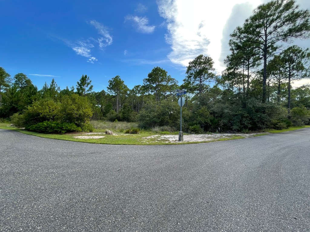 126 Turkey Point Road Sopchoppy, FL 32358 - Photo 27 of 35