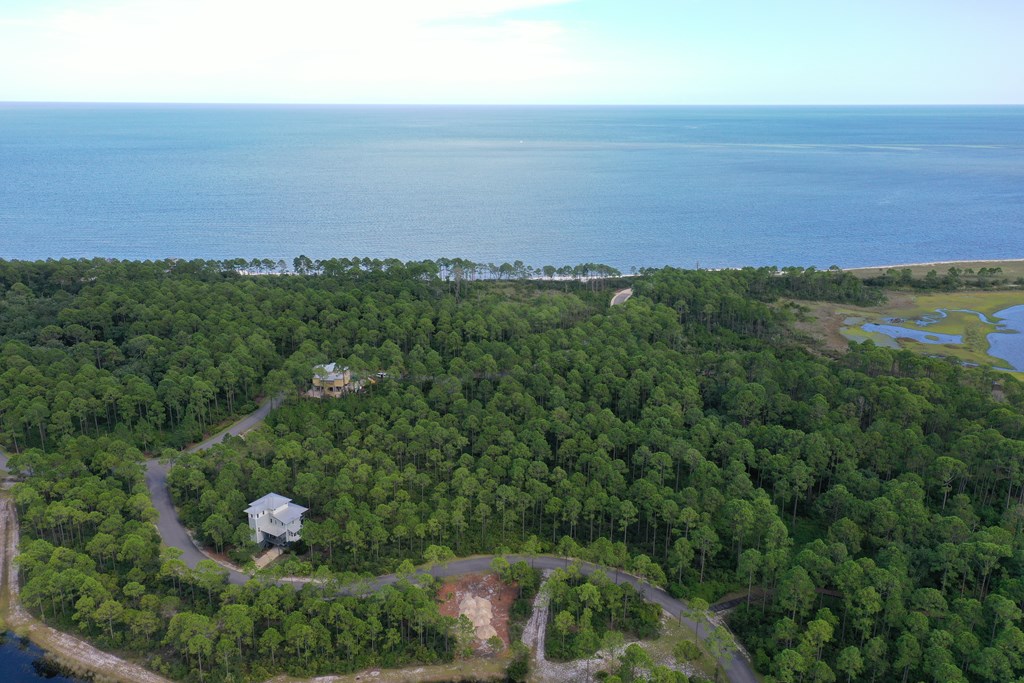 126 Turkey Point Road Sopchoppy, FL 32358 - Photo 3 of 35