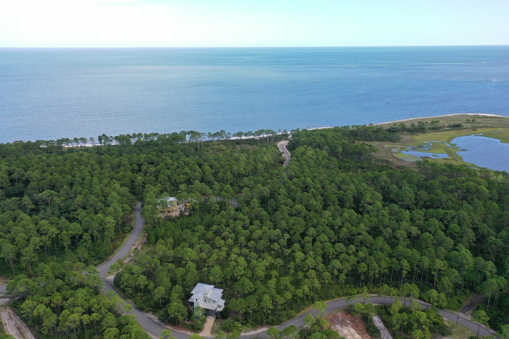 126 Turkey Point Road Sopchoppy, FL 32358 - Photo 6 of 35