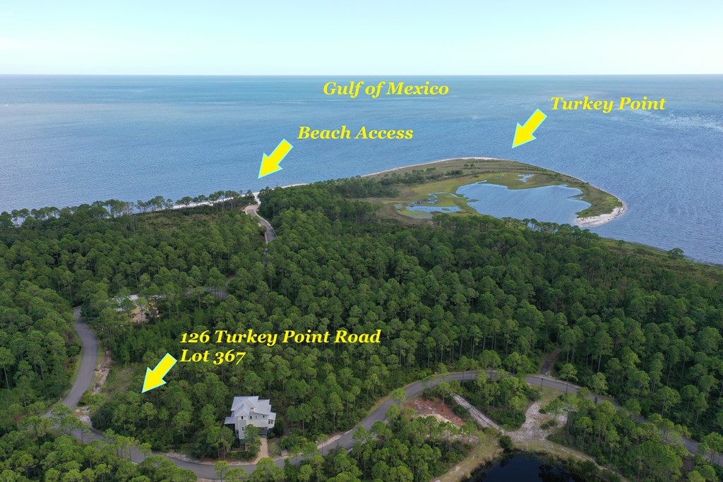 126 Turkey Point Road Sopchoppy, FL 32358 - Photo 8 of 35