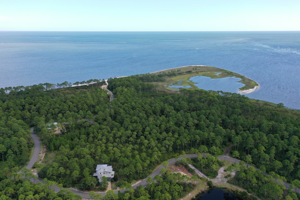 126 Turkey Point Road Sopchoppy, FL 32358 - Photo 9 of 35