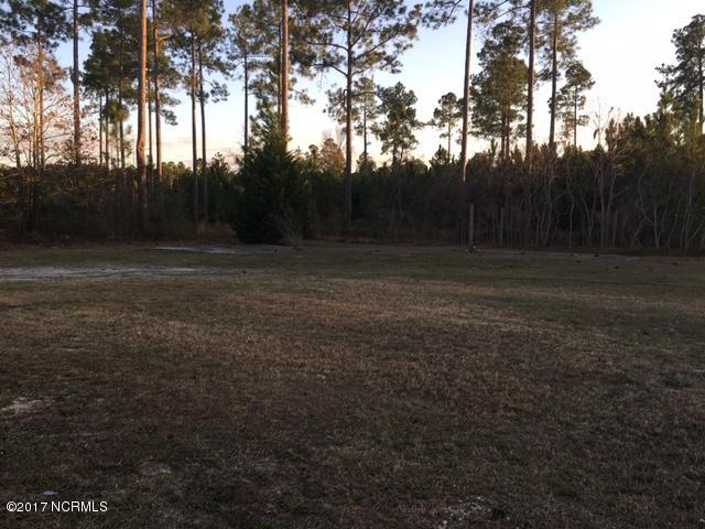 503 Brighton Road Rocky Point, NC 28457 - Photo 10 of 10 YARD