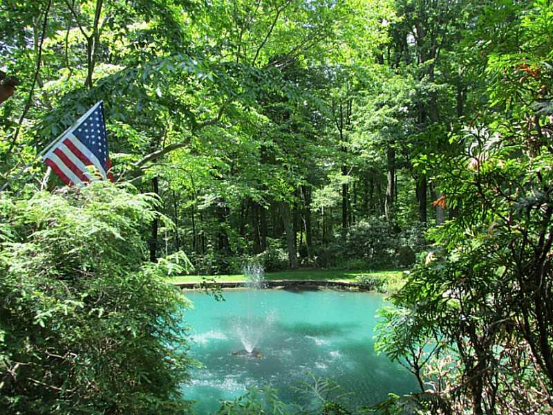 157 Cabin Road Normalville, PA 15469 - Photo 4 of 25 Other. Spring fed pond