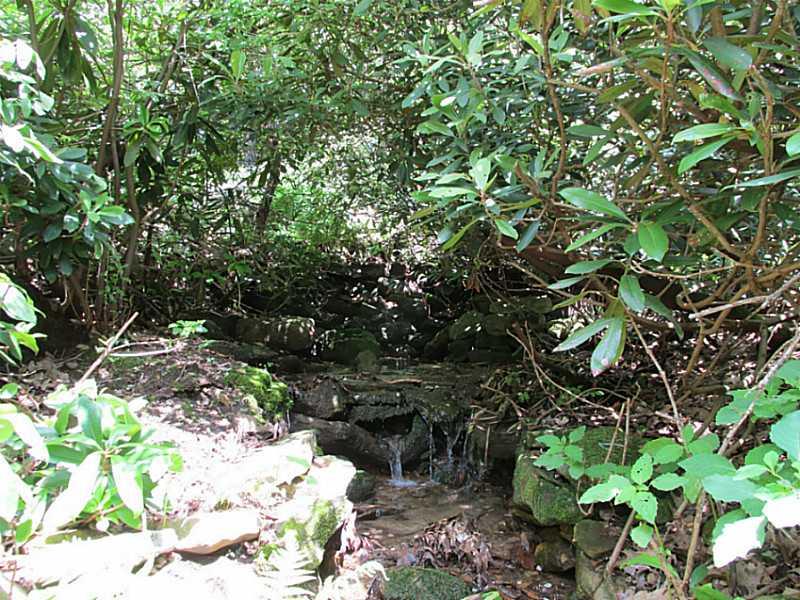 157 Cabin Road Normalville, PA 15469 - Photo 8 of 25 Other. Spring flow depends upon weather
