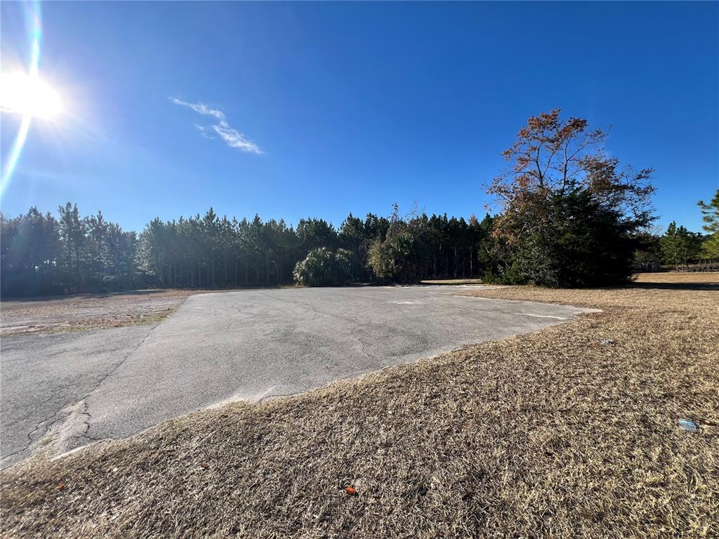 0 Northwest Us Highway Chiefland, FL 32626 - Photo 4 of 7 a view of a yard