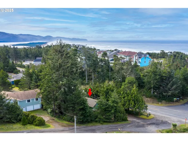 a view of a yard with a mountain