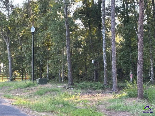 $85,000 | Lot 1 Trojan Way, Barnesville, GA 30204
