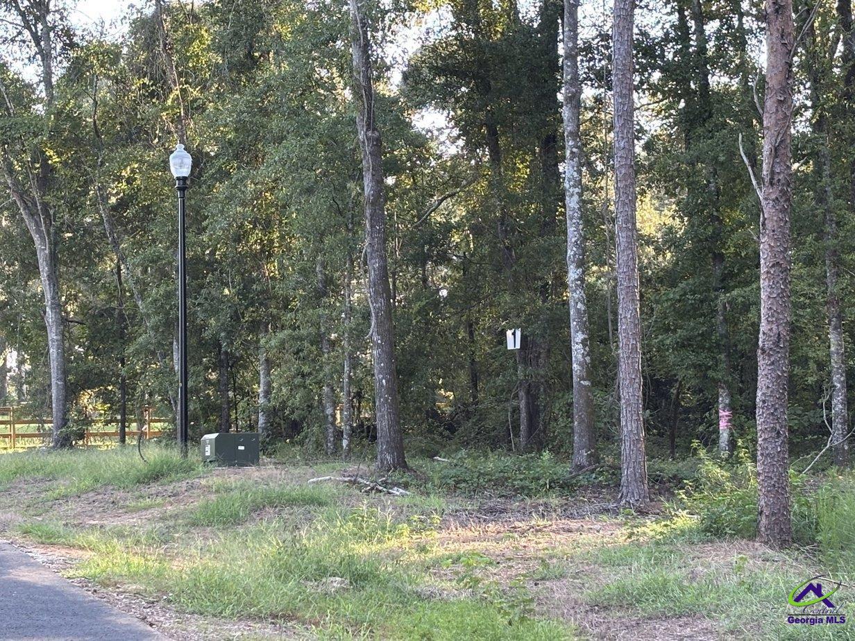 Lot 1 Trojan Way Barnesville, GA 30204 - Photo 1 of 11 a view of a forest filled with trees