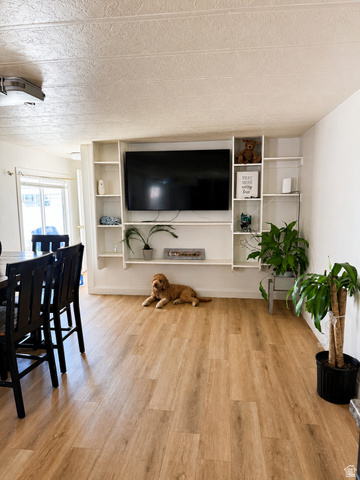 33 Apollo Way Sandy, UT 84070 - Photo 4 of 9 Living room with a textured ceiling, light wood-style flooring, and built in shelves