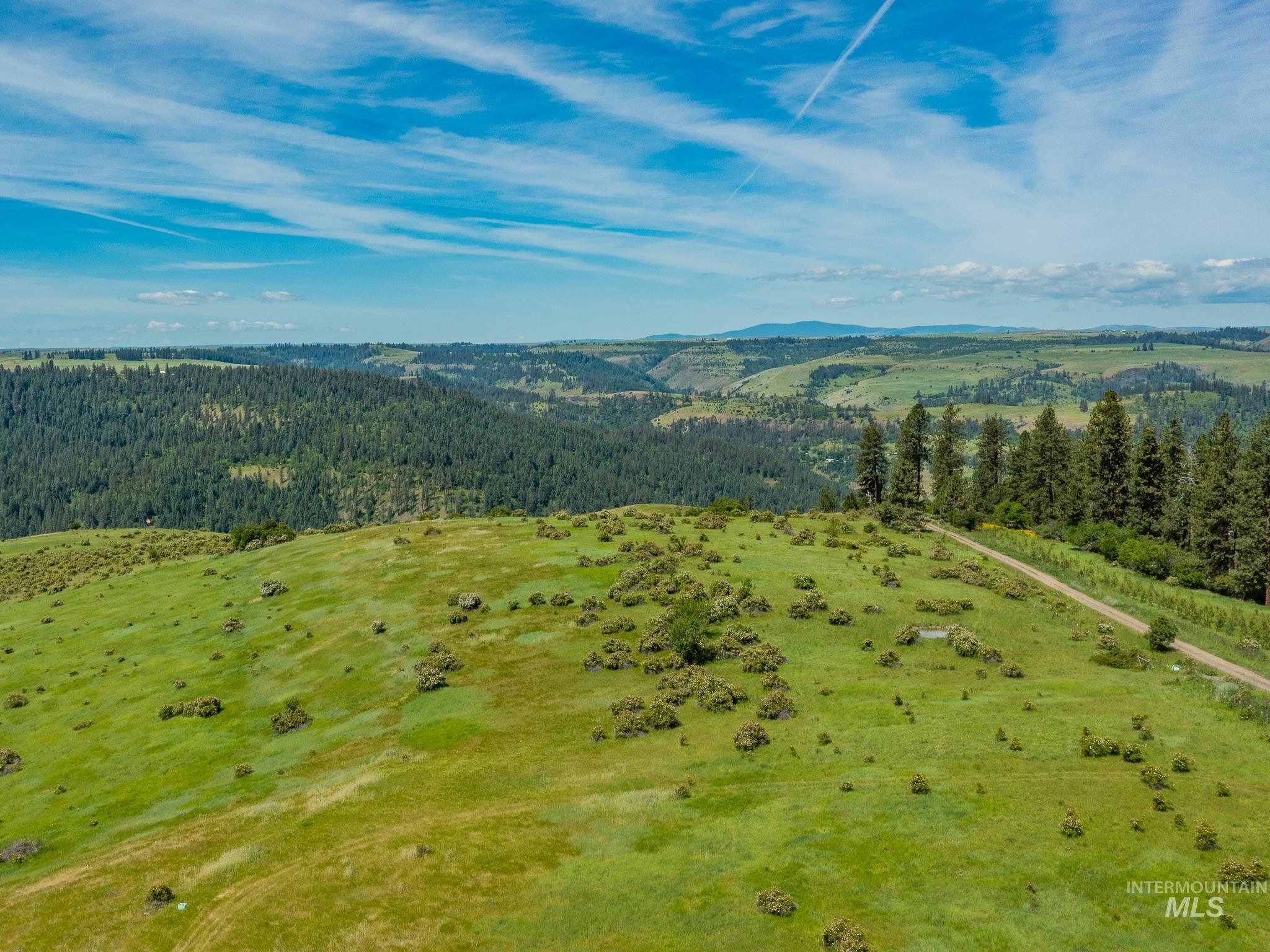 Tbd Brotnov Road Stites, ID 83552 - Photo 8 of 28