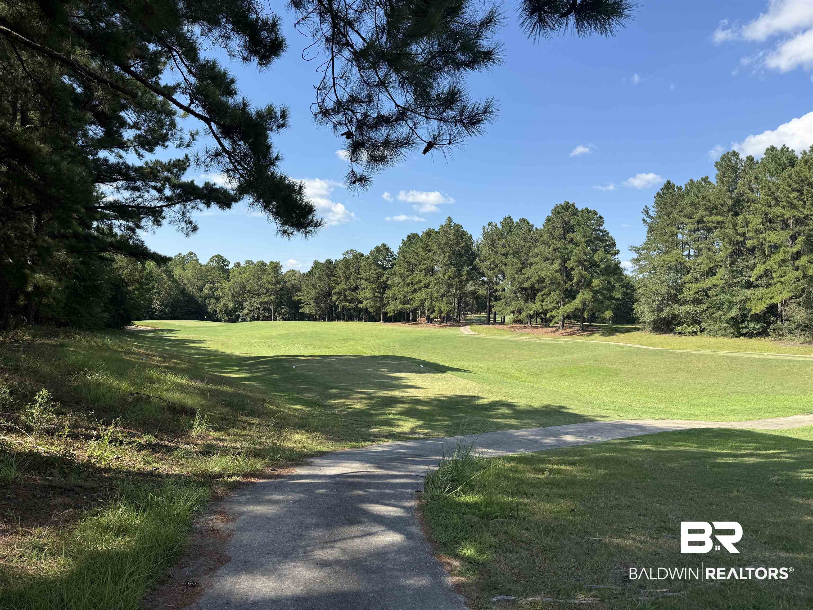 415 Juniper Creek Road Brewton, AL 36426 - Photo 30 of 35 View of property's community featuring a lawn